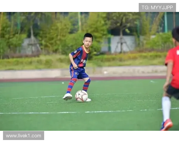 护腿板要求与裁判检测标准解读及违规后果